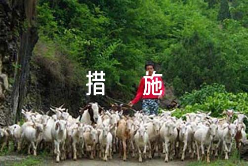 篮球训练营结课总结范文_0